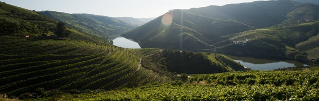 Douro Wine Region