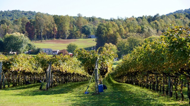 Virginia winery