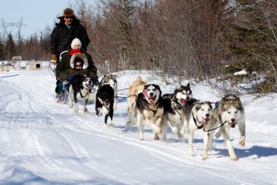 Sled pulled by dogs