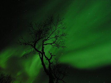 Northern Lights, Aurora Borealis in Norway