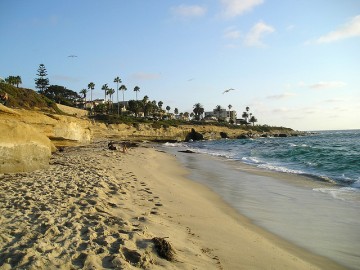 La Jolla beach in San Diego