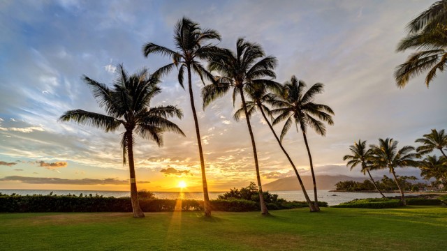 Maui 