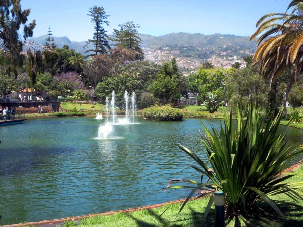 Park in Funchal, Madeira
