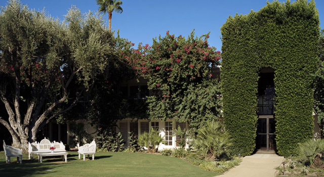 The garden at Palm Springs boutique hotel