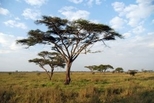 Tanzania - 